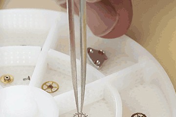 积家长时间不带会越走越慢吗